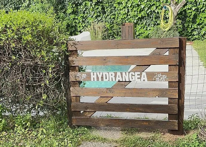 Feriehus Casa Hydrangea Con Piscina E Giardino Bagni di Lucca
