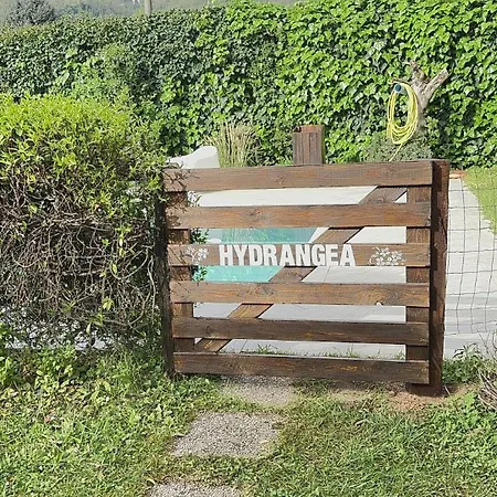 別荘 Casa Hydrangea Con Piscina E Giardino バーニ・ディ・ルッカ