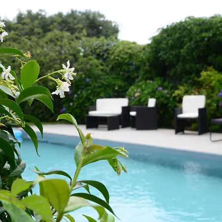 Casa Hydrangea Con Piscina E Giardino * باني دي لوكا